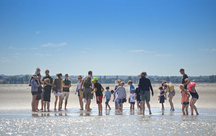 Guided bay expedition and quicksand experience