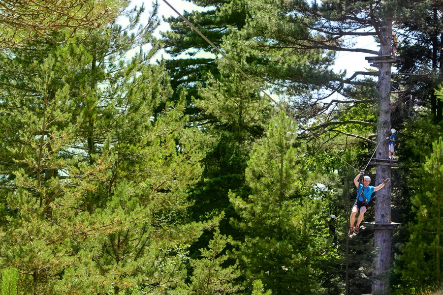 Dad and son ziplining through canopy