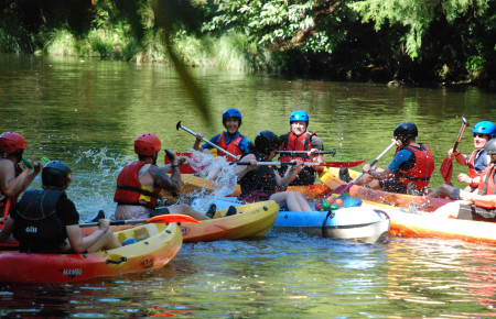 Day 1 HP 238 Resizedv1 